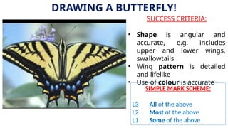 SUCCESS CRITERIA:
• Shape is angular and
accurate, e.g. includes
upper and lower wings,
swallowtails
• Wing pattern is detailed
and lifelike
• Use of colour is accurate
DRAWING A BUTTERFLY!
SIMPLE MARK SCHEME:
L3 All of the above
L2 Most of the above
L1 Some of the above
 