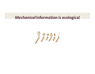 MechanicalInformation	is	ecological
balance
sound
*
touch
cold
warm
pain
 