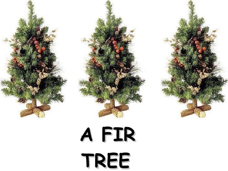 The True Meaning Of Christmas