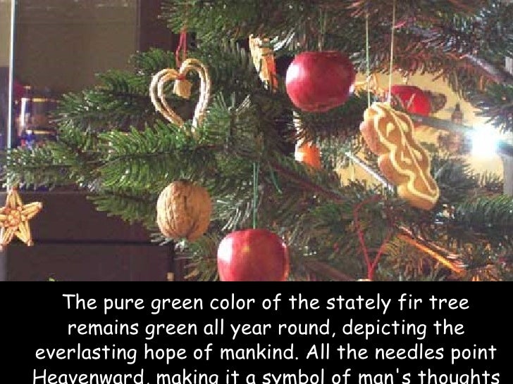 the true meaning of christmas true meaning of christmas trees