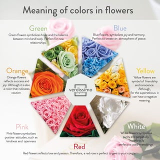 Meaning of colors in flowers