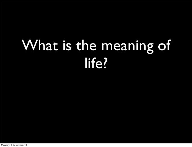 Image result for pics of what is the meaning of life