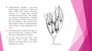  Archaeosperma arnoldii, a pre-ovule
bearing organ reported by Pettitt and
Beck (1968) from Upper Devonian,
consists of a cupule that partially
surrounds four pre-ovules. The cupules
are planted dichotomously branched
axes consisting of sterile telome trusses
that are webbed in the proximal part.
Each cupule contains two short pedicels,
each bearing a small orthotropous pre-
ovule.
 The integument is serrated at the apex of
each pre-ovule into a number of lobes
that form a rudimentary micropyle.
 Several other pre-ovules have been
described from Upper Devonian.
Elkinsia and Moresnetia are two other
important pre-ovules.
 