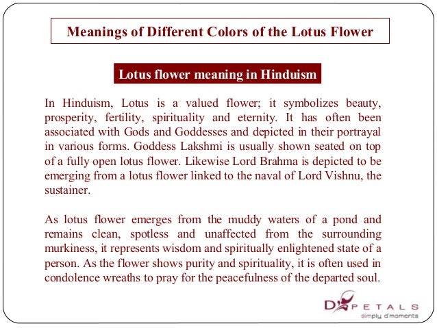 Meanings of different colors of the lotus flower