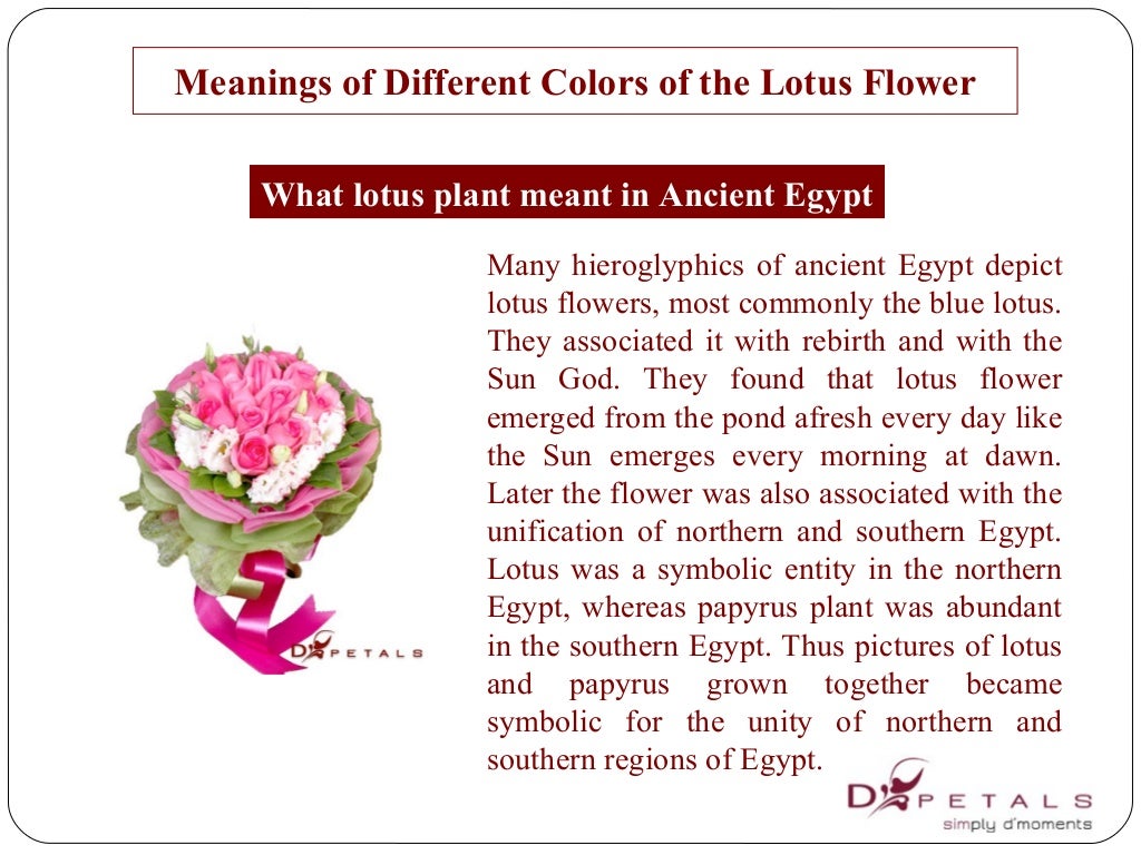 Meanings of different colors of the lotus flower