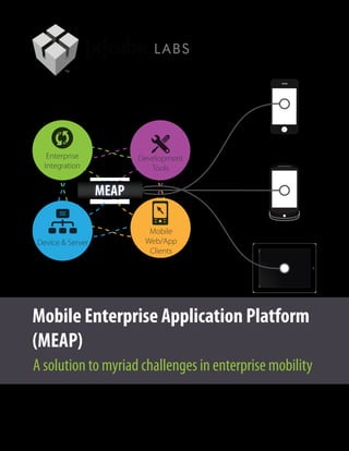 Enterprise            Development
  Integration               Tools


                  MEAP

                           Mobile
Device & Server           Web/App
                           Clients
                                           daPi




Mobile Enterprise Application Platform
(MEAP)
A solution to myriad challenges in enterprise mobility
 