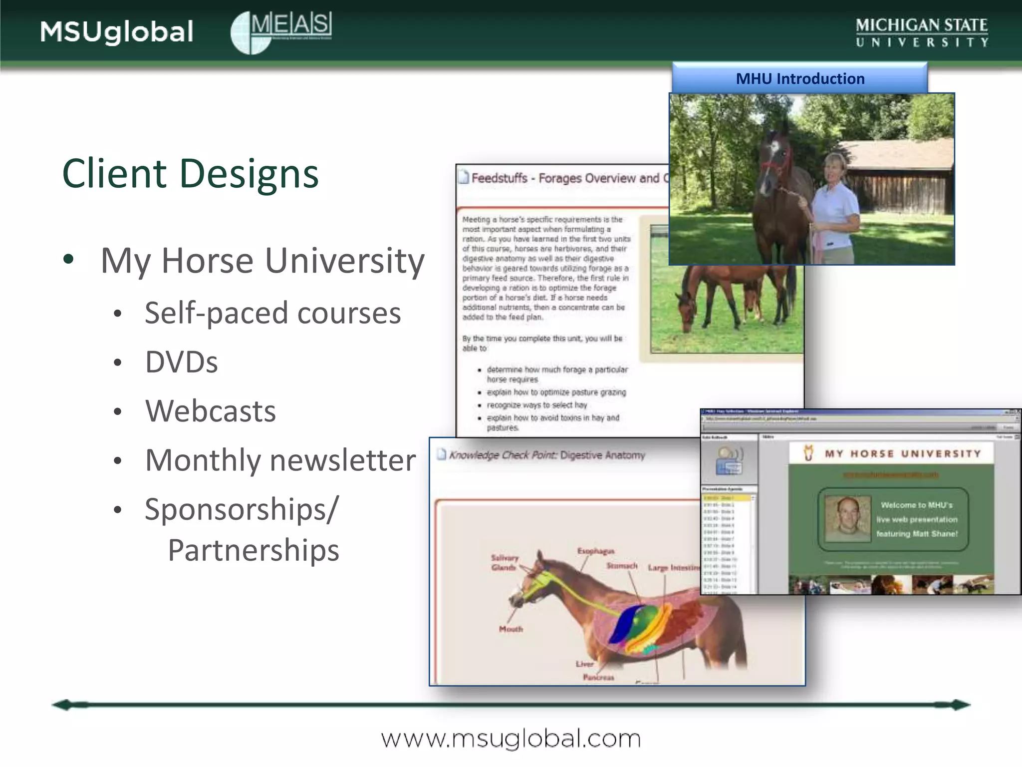 MHU Introduction




Client Designs
• My Horse University
  • Self-paced courses
  • DVDs
  • Webcasts
  • Monthly newsletter
  • Sponsorships/
      Partnerships
 