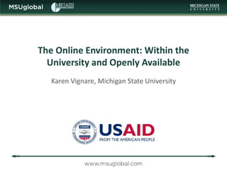 The Online Environment: Within the
  University and Openly Available
   Karen Vignare, Michigan State University
 