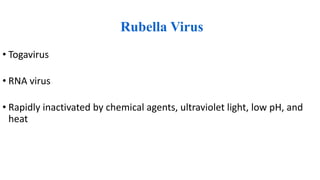 Rubella Virus
• Togavirus
• RNA virus
• Rapidly inactivated by chemical agents, ultraviolet light, low pH, and
heat
 