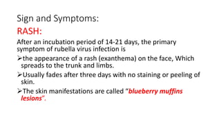 Sign and Symptoms:
RASH:
After an incubation period of 14-21 days, the primary
symptom of rubella virus infection is
the appearance of a rash (exanthema) on the face, Which
spreads to the trunk and limbs.
Usually fades after three days with no staining or peeling of
skin.
The skin manifestations are called “blueberry muffins
lesions”.
 