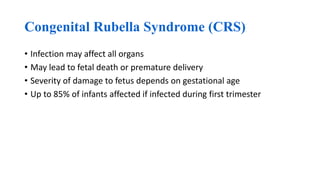 Congenital Rubella Syndrome (CRS)
• Infection may affect all organs
• May lead to fetal death or premature delivery
• Severity of damage to fetus depends on gestational age
• Up to 85% of infants affected if infected during first trimester
 