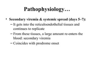 Pathophysiology…
• Secondary viremia & systemic spread (days 5–7):
– It gets into the reticuloendothelial tissues and
continues to replicate
– From these tissues, a large amount re-enters the
blood: secondary viremia
– Coincides with prodrome onset
 