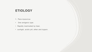 ETIOLOGY
1. Para myxovirus
• One antigenic type
• Rapidly inactivated by heat,
• sunlight, acidic pH, ether and trypsin.
 