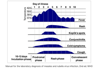 Manual for the laboratory diagnosis of measles and rubella virus infection, 2nd ed, WHO
Temperature
Day of illness
40oC
39oC
38oC
37oC
1 2 3 4 5 6 7 8 9 10
Fever
Rash
Koplik’s spots
Conjunctivitis
Cold symptoms
Cough
Prodromal
phase
10-12 days
Incubation phase Rash phase
Convalescent
phase
 