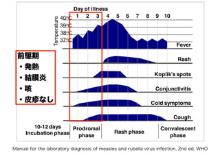 Manual for the laboratory diagnosis of measles and rubella virus infection, 2nd ed, WHO
Temperature
Day of illness
40oC
39oC
38oC
37oC
1 2 3 4 5 6 7 8 9 10
Fever
Rash
Koplik’s spots
Conjunctivitis
Cold symptoms
Cough
Prodromal
phase
10-12 days
Incubation phase Rash phase
Convalescent
phase
前駆期
・発熱
・結膜炎
・咳
・皮疹なし
 