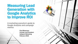 Measuring Lead
Generation with
Google Analytics
to Improve ROI
A marketing executive’s guide to Google
Analytics and campaign metrics.
NuSpark Marketing, 2016
Paul Mosenson
Founder and President
NuSpark Marketing
February 2016
 
