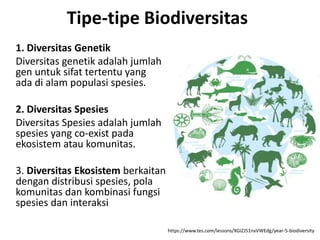 Tipe-tipe Biodiversitas
1. Diversitas Genetik
Diversitas genetik adalah jumlah
gen untuk sifat tertentu yang
ada di alam populasi spesies.
2. Diversitas Spesies
Diversitas Spesies adalah jumlah
spesies yang co-exist pada
ekosistem atau komunitas.
3. Diversitas Ekosistem berkaitan
dengan distribusi spesies, pola
komunitas dan kombinasi fungsi
spesies dan interaksi
https://www.tes.com/lessons/XGiZJ51nxVWEdg/year-5-biodiversity
 