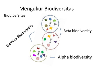 Mengukur Biodiversitas
Biodiversitas
Beta biodiversity
Alpha biodiversity
 