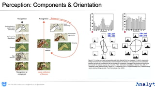 Perception: Components & Orientation
0191 704 2045 | analyt.co.uk | info@analyt.co.uk | @analytdata
 