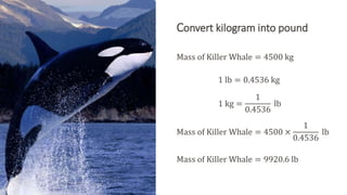 Convert kilogram into pound
Mass of Killer Whale = 4500 kg
1 lb = 0.4536 kg
1 kg =
1
0.4536
lb
Mass of Killer Whale = 4500 ×
1
0.4536
lb
Mass of Killer Whale = 9920.6 lb
 