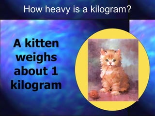 How heavy is a kilogram? A kitten weighs about 1 kilogram 
