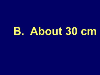 Measurement and geometry | PPT