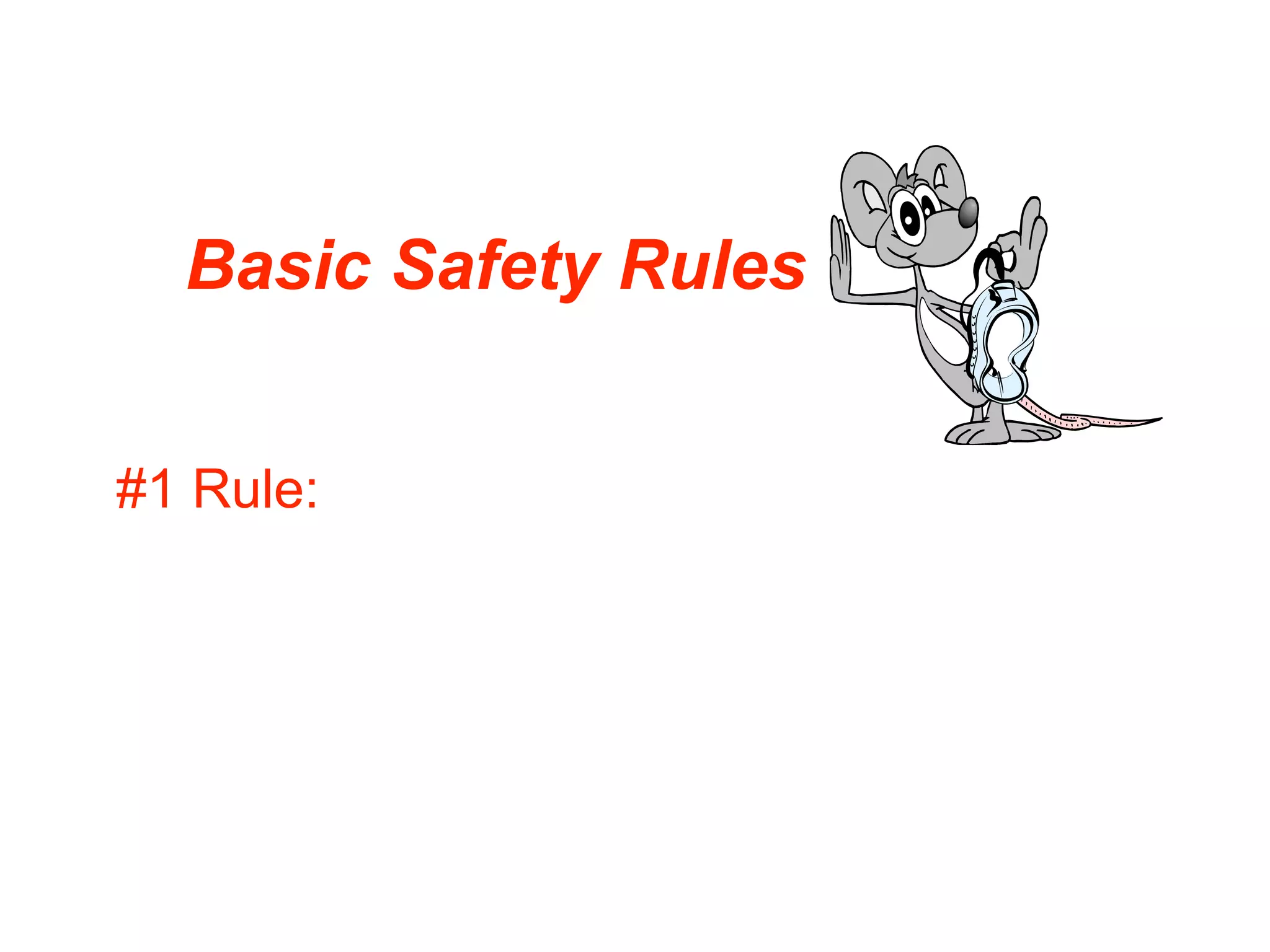 Basic Safety Rules


#1 Rule:
 