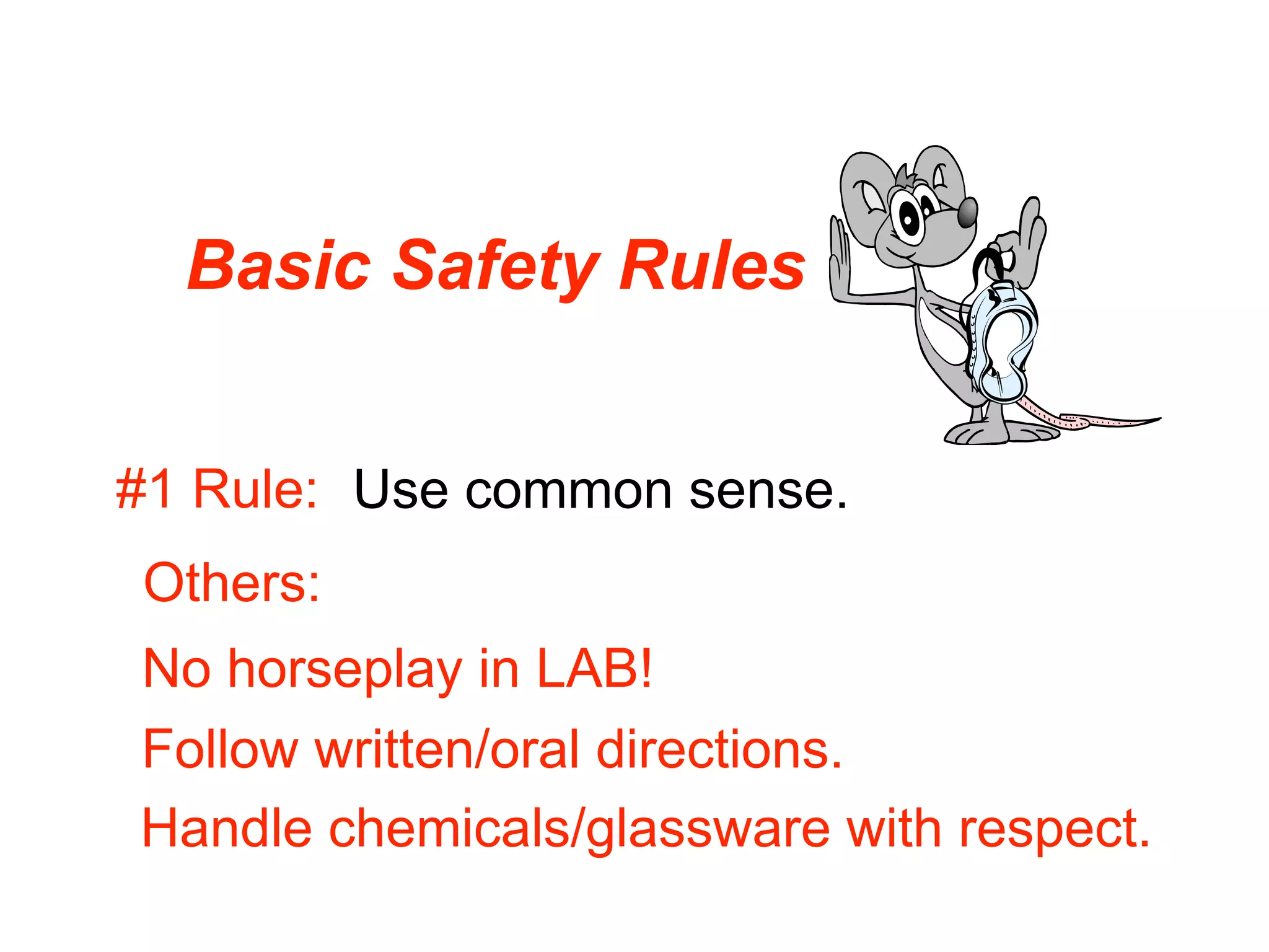 Basic Safety Rules


#1 Rule: Use common sense.
Others:
No horseplay in LAB!
Follow written/oral directions.
Handle chemicals/glassware with respect.
 