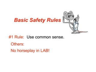 Basic Safety Rules


#1 Rule: Use common sense.
Others:
No horseplay in LAB!
 