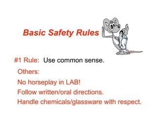 Basic Safety Rules


#1 Rule: Use common sense.
Others:
No horseplay in LAB!
Follow written/oral directions.
Handle chemicals/glassware with respect.
 