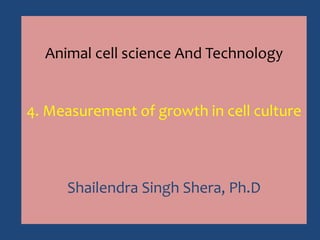 Measurement growth in cell culture