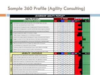 Sample 360 Profile (Agility Consulting)
 