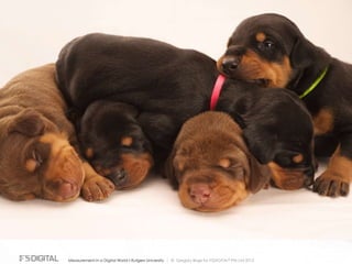 © Gregory Birge for F5DIGITAL® Pte Ltd 2012Measurement in a Digital World I Rutgers University
 