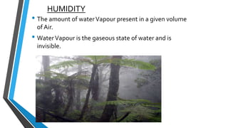 Humidity | PPTX