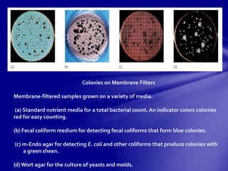 Coliform Color Chart Measurement of microbial growth | PPTX