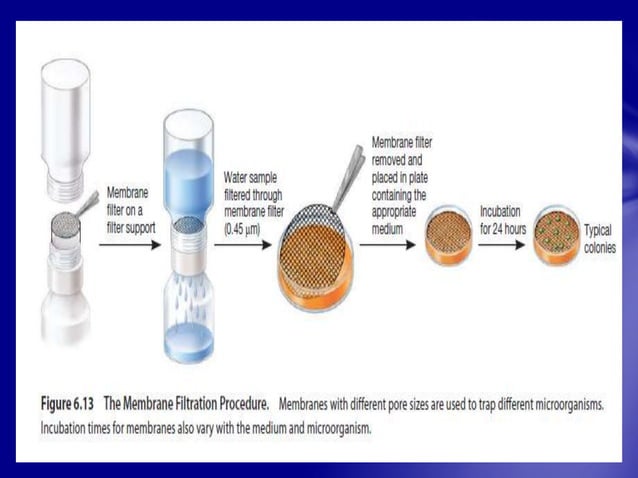 Measurement Of Microbial Growth