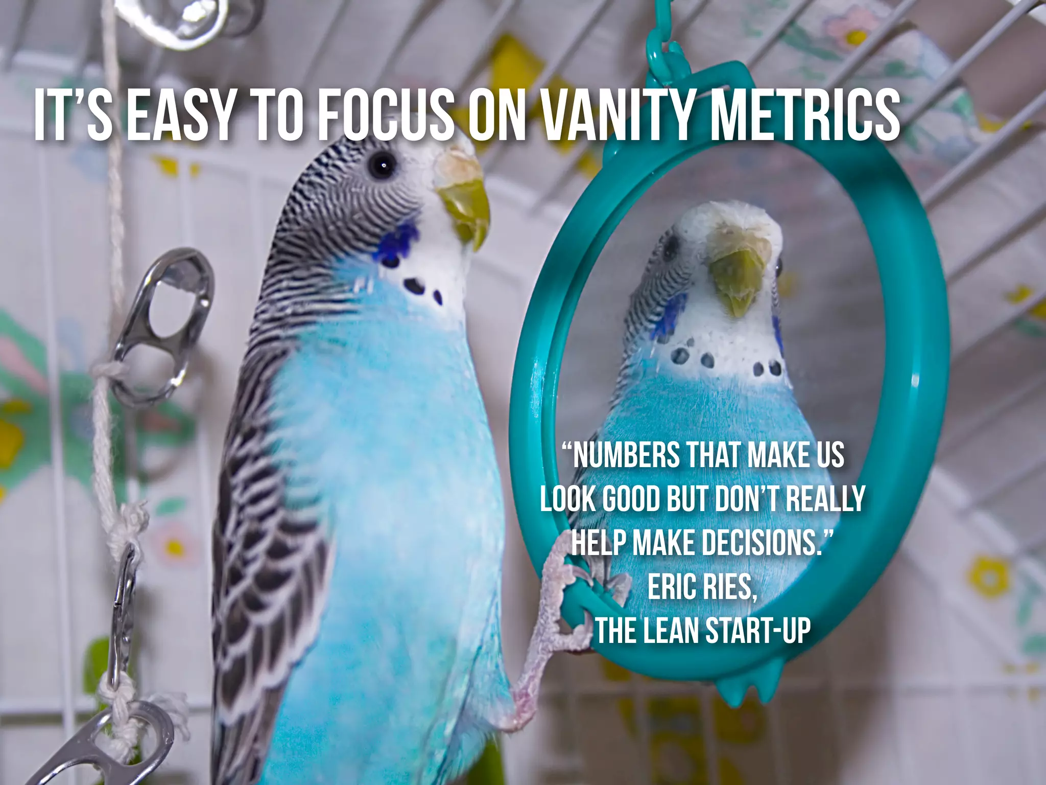 IT’S EASY TO FOCUS ON VANITY METRICS



                       “Numbers that make us
                     look good but don’t really
                        help make decisions.”
                              Eric Ries,
                          The Lean Start-up
 