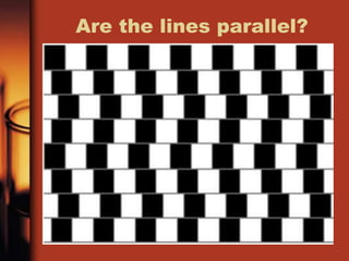 Are the lines parallel?
 