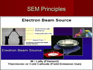 SEM PrinciplesSEM Principles
 