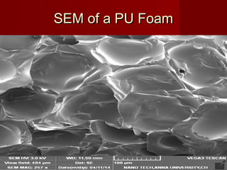 SEM of a PU FoamSEM of a PU Foam
 