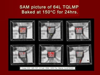SAM picture of 64L TQLMPSAM picture of 64L TQLMP
Baked at 150Baked at 150°°C for 24hrs.C for 24hrs.
 