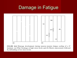 Damage in FatigueDamage in Fatigue
 