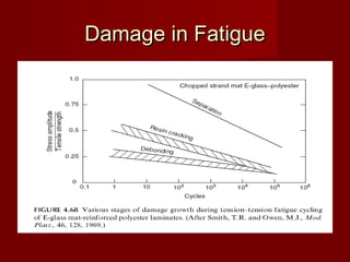 Damage in FatigueDamage in Fatigue
 