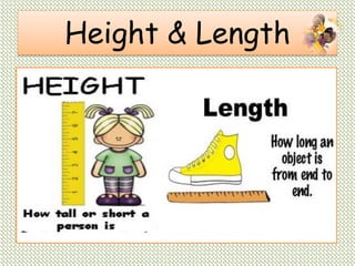 Height & Length
 