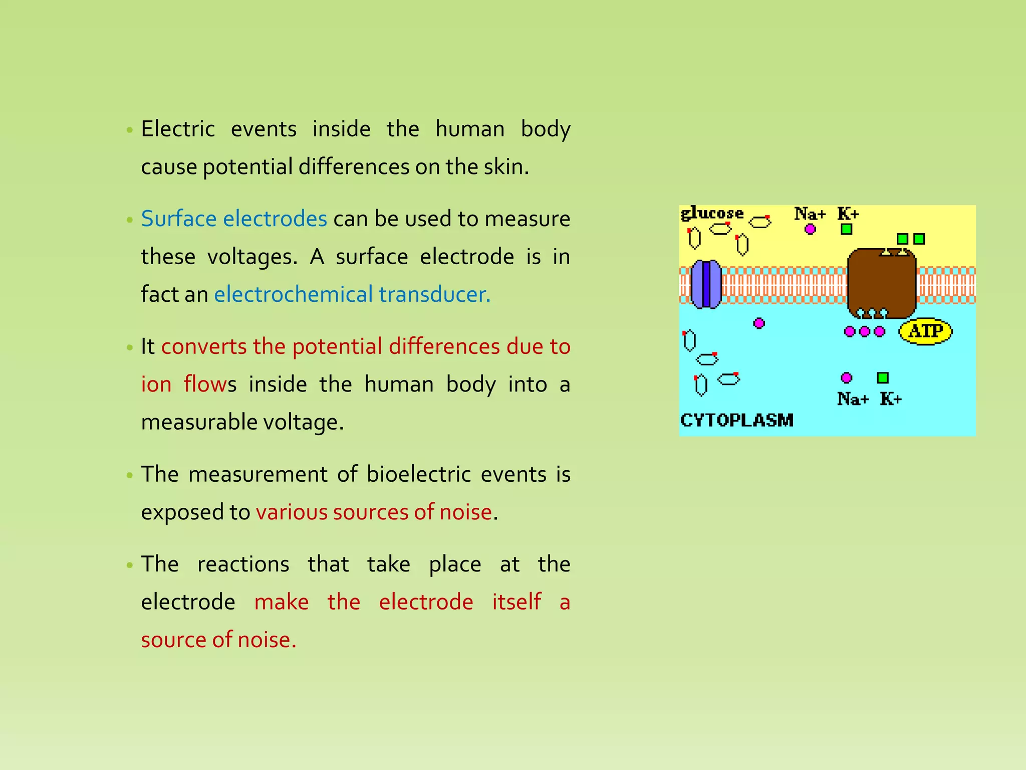• Electric events inside the human body
cause potential differences on the skin.
• Surface electrodes can be used to measure
these voltages. A surface electrode is in
fact an electrochemical transducer.
• It converts the potential differences due to
ion flows inside the human body into a
measurable voltage.
• The measurement of bioelectric events is
exposed to various sources of noise.
• The reactions that take place at the
electrode make the electrode itself a
source of noise.
 