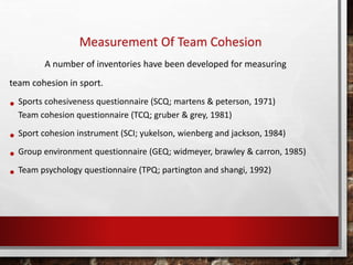 Team Cohesion Questionnaire.pdf Measurenment of Cohesion | PPTX