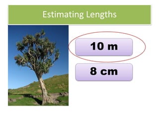 Estimating Lengths
10 m
8 cm
 