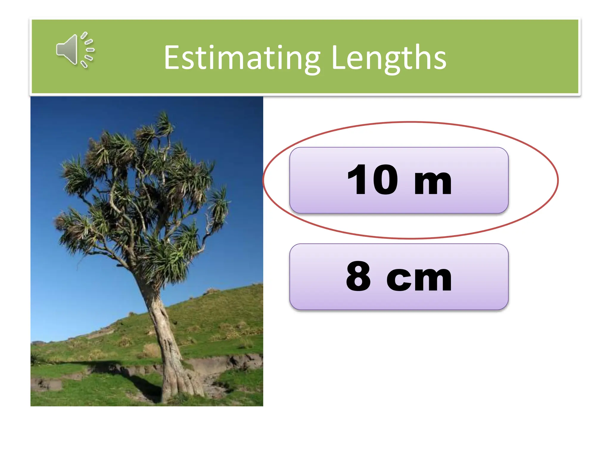 Estimating Lengths
10 m
8 cm
 