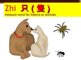 Basic Chinese Measure words | PPT
