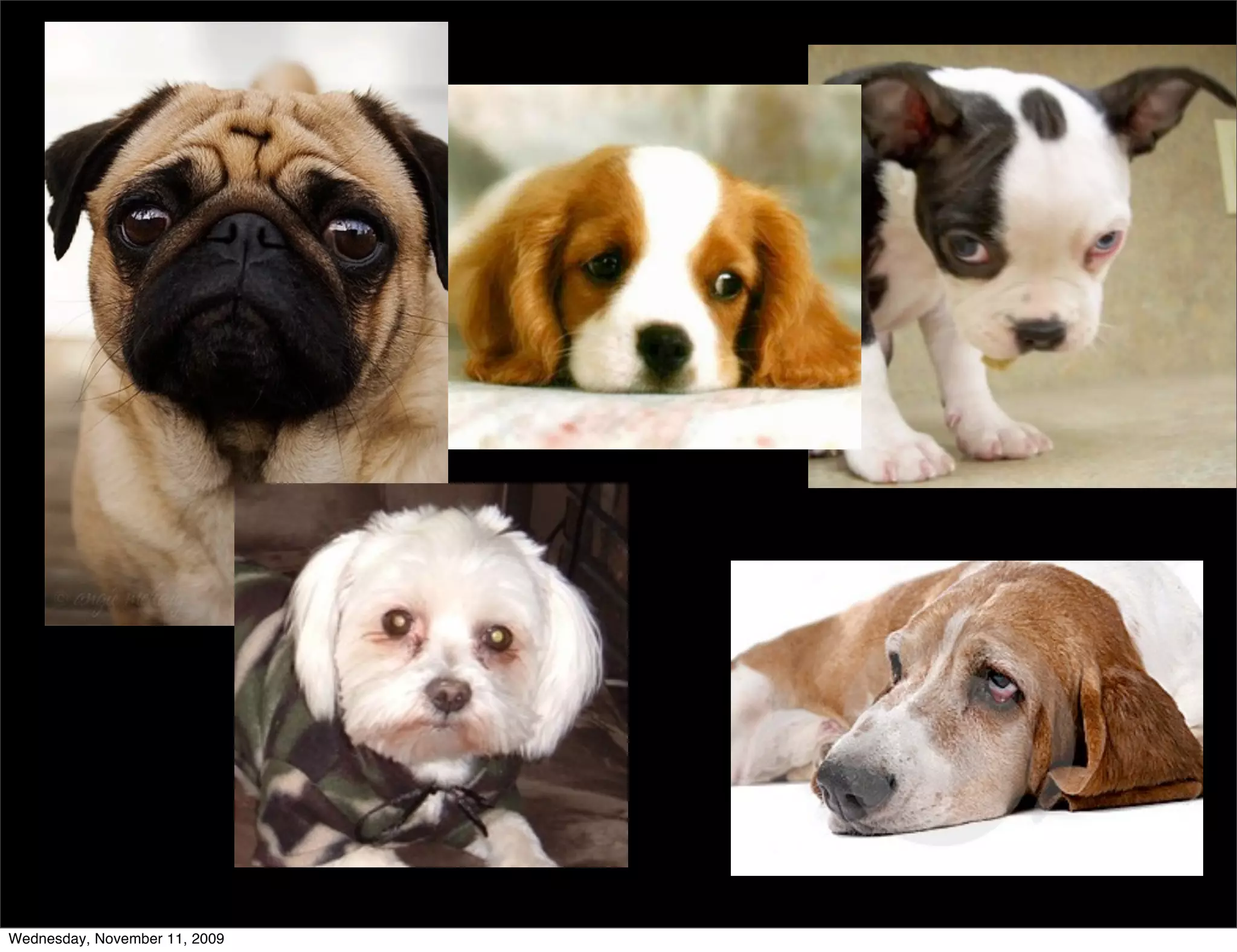 Wednesday, November 11, 2009
 